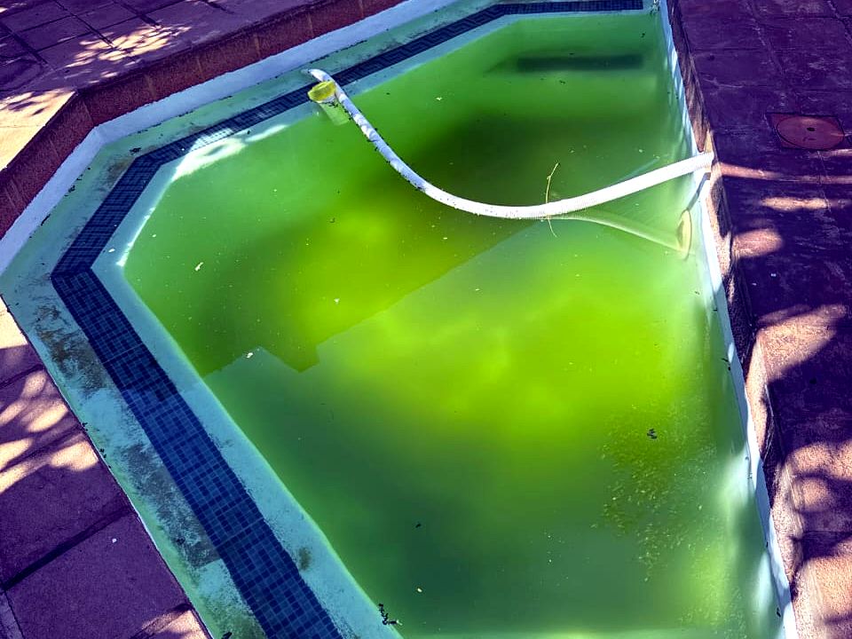 Neglected pool with green algae water — before