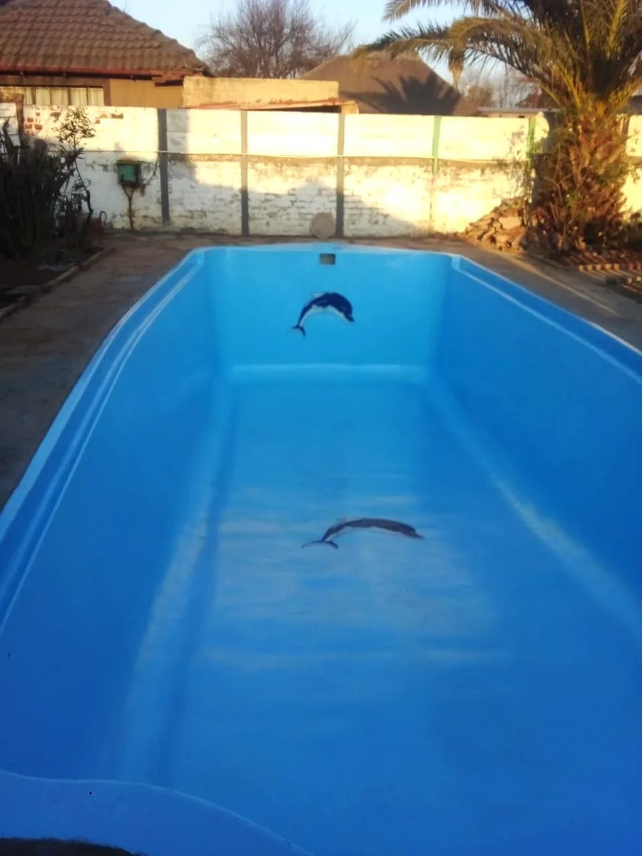 Pool Star completed swimming pool project 16